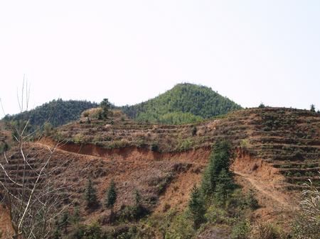 廿八都兴墩村岭下二处战斗遗址远景
